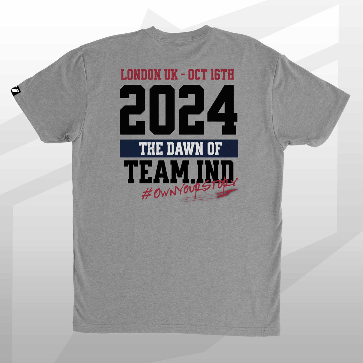 team industry mens tee shirt fitness bodybuilding