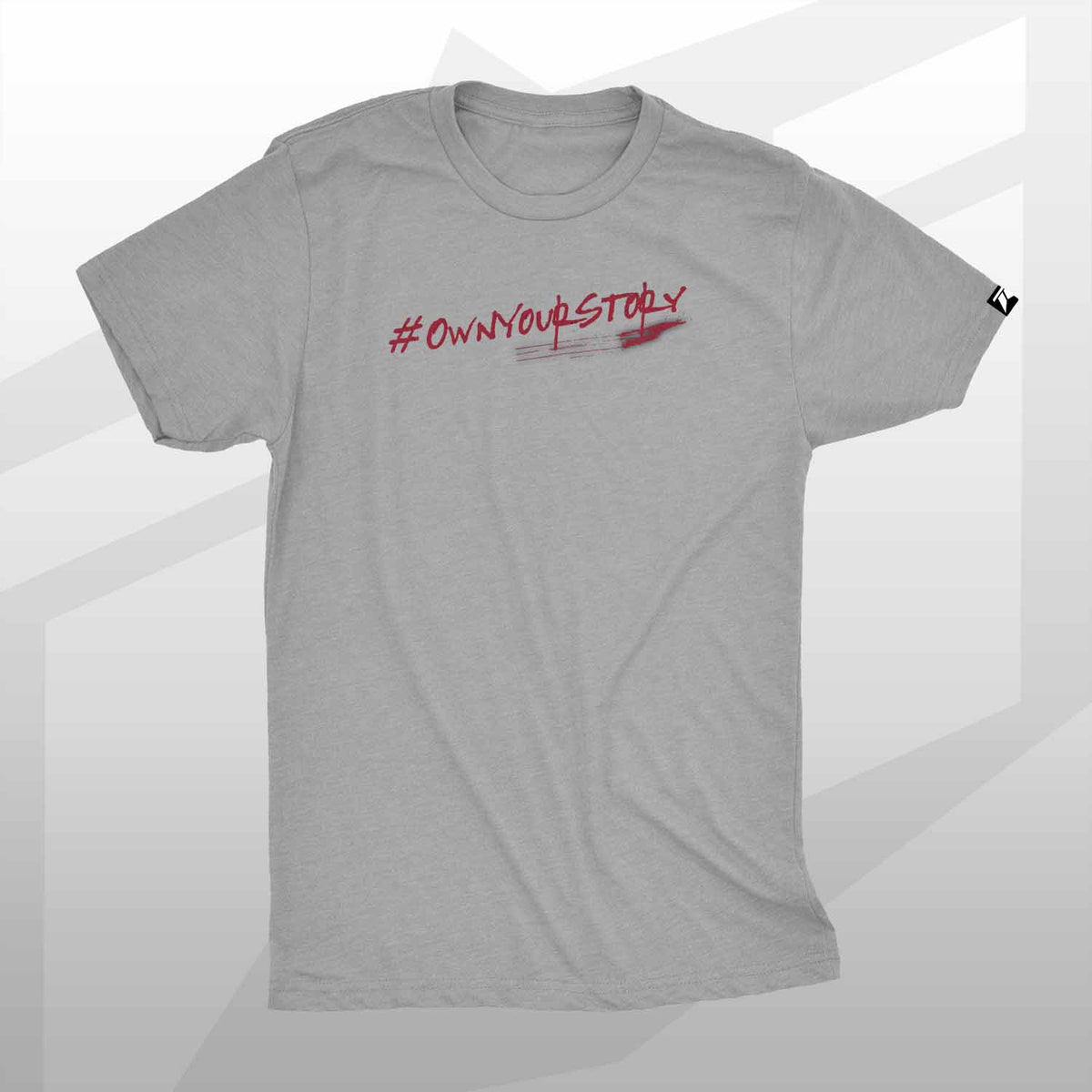 team industry mens tee shirt fitness bodybuilding