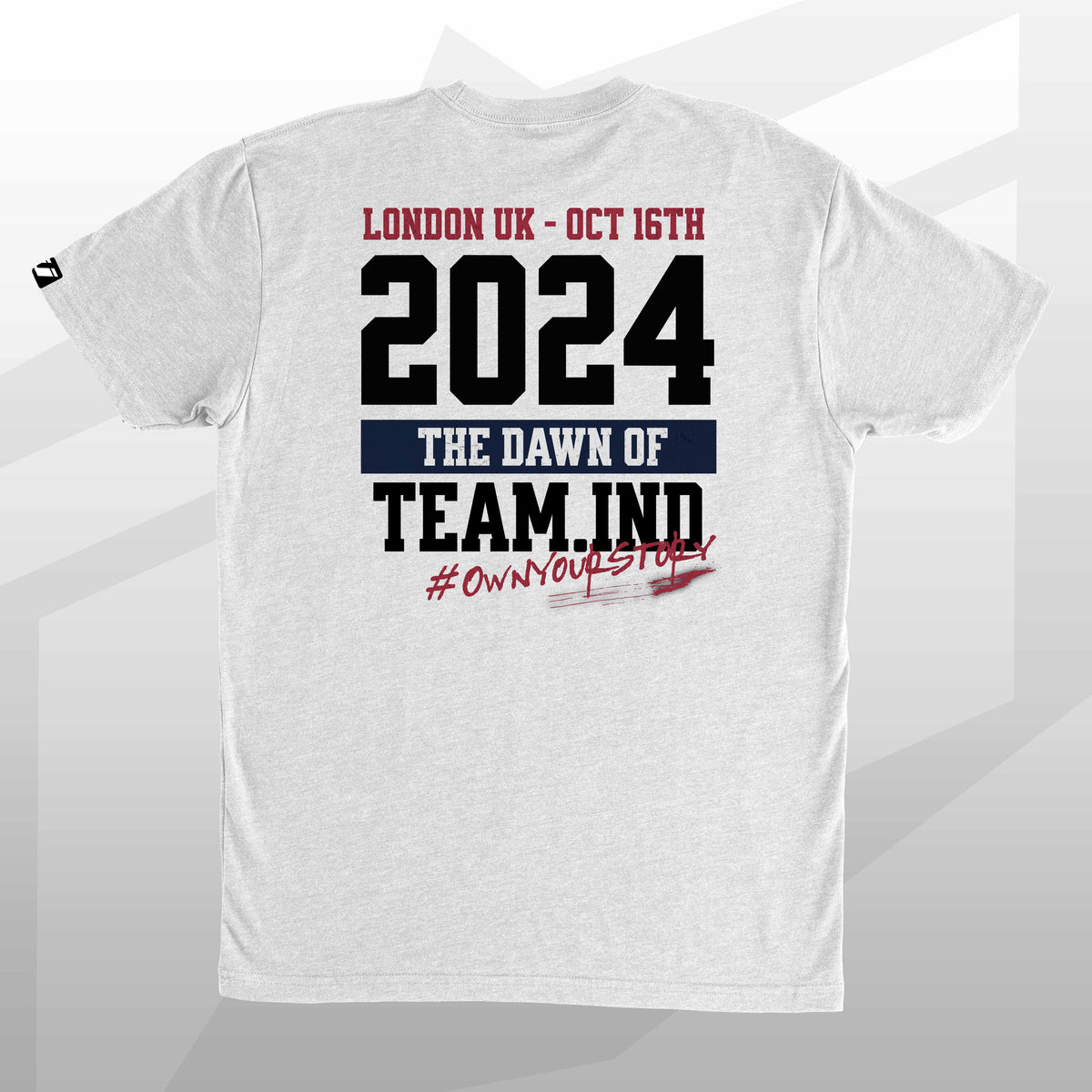 team industry mens tee shirt fitness bodybuilding