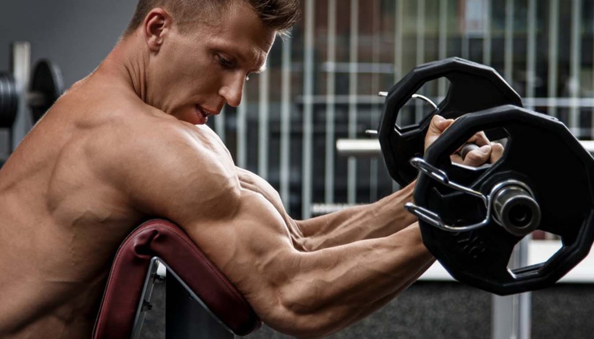 The Best Gym Routine for Bigger Arms: A Complete Guide